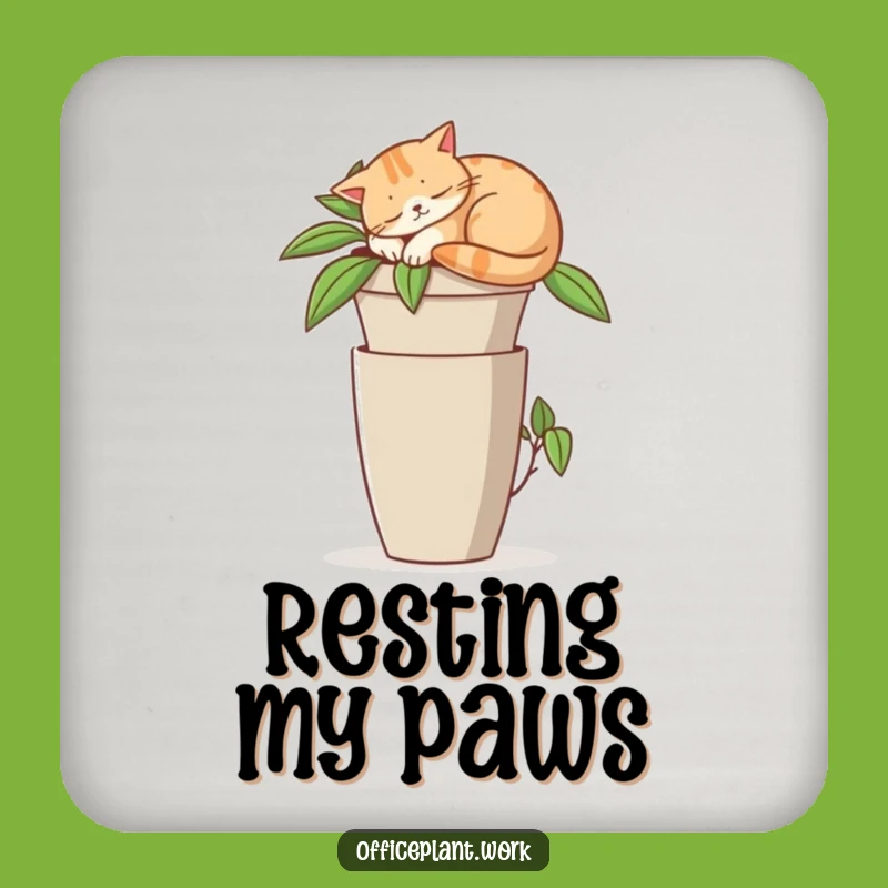 Funny Cat Office Plant Coaster - Napping Feline Drink Gift